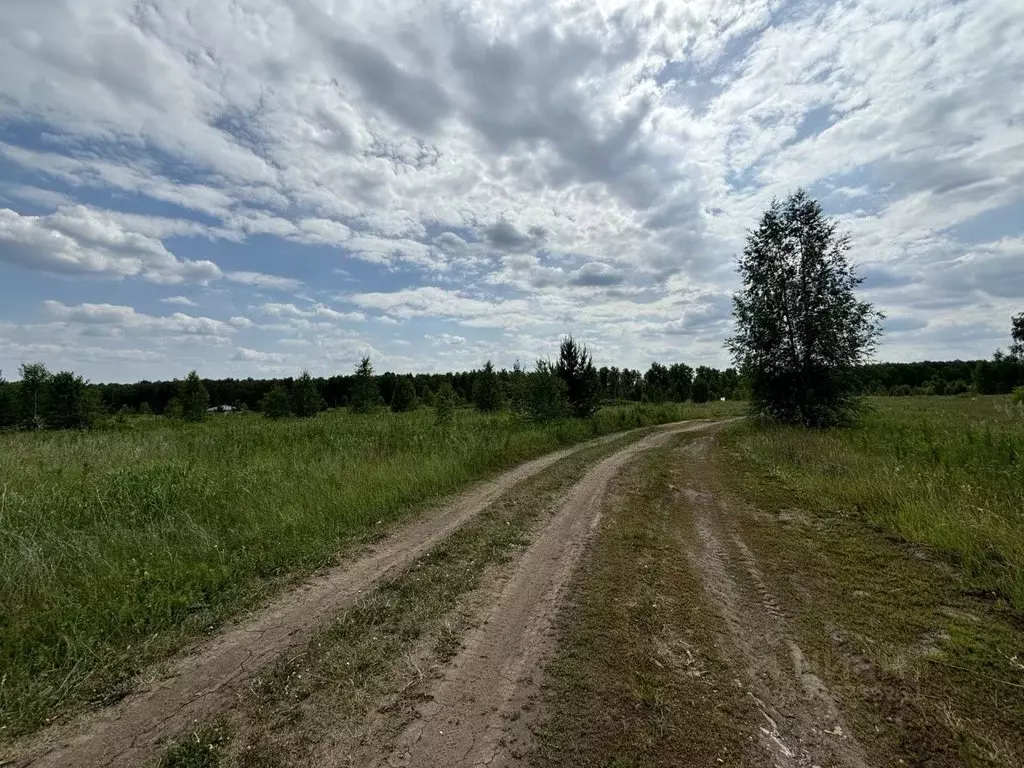 Участок в Челябинская область, Сосновский муниципальный округ, д. ... - Фото 2