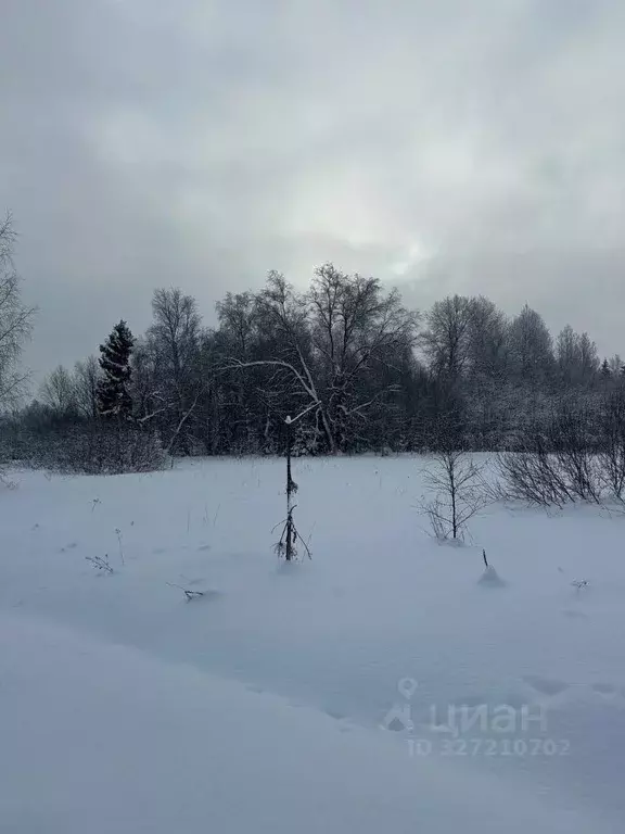 Участок в Московская область, Рузский муниципальный округ, д. Филатово ... - Фото 1