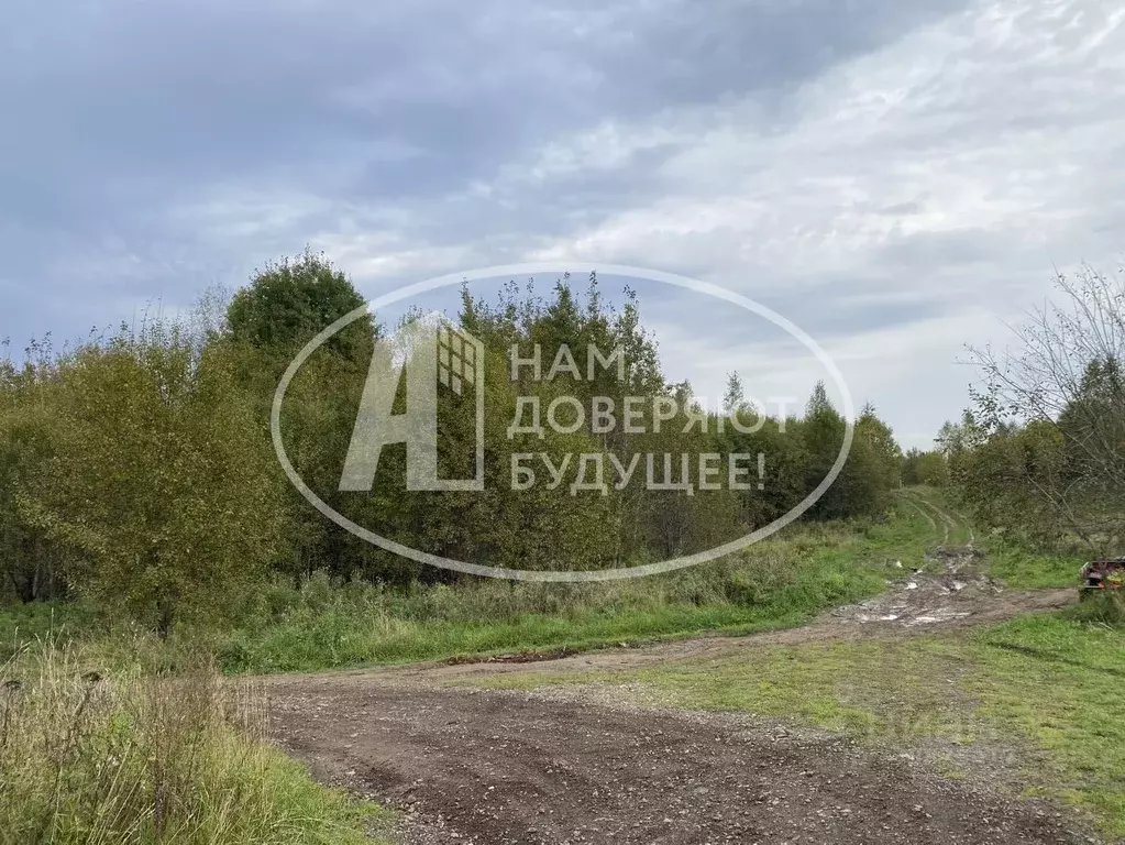 Участок в Пермский край, Лысьва Индустриальная ул., 68 (12.0 сот.) - Фото 2