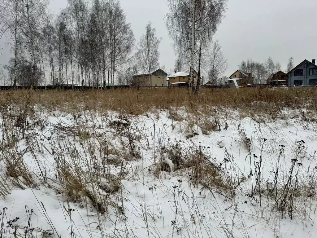 Участок в Московская область, Богородский городской округ, д. Шульгино ... - Фото 0