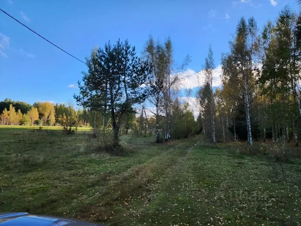 Участок в Ленинградская область, Всеволожский район, Куйвозовское ... - Фото 1