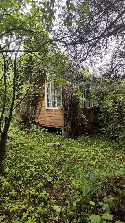 Дом в Московская область, Богородский городской округ, Меркурий СНТ 17 ... - Фото 1