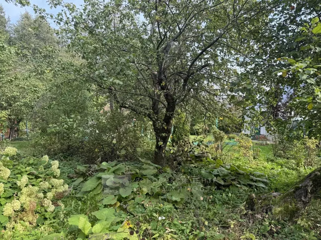 Участок в Москва пос. Совхоза Крекшино, Крекшино-ВВЦ СНТ, ул. Большая ... - Фото 1