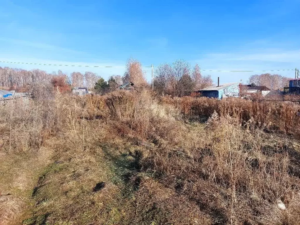 Участок в Новосибирская область, Бердск Отрадное СНТ, ул. 3-я (5.0 ... - Фото 1