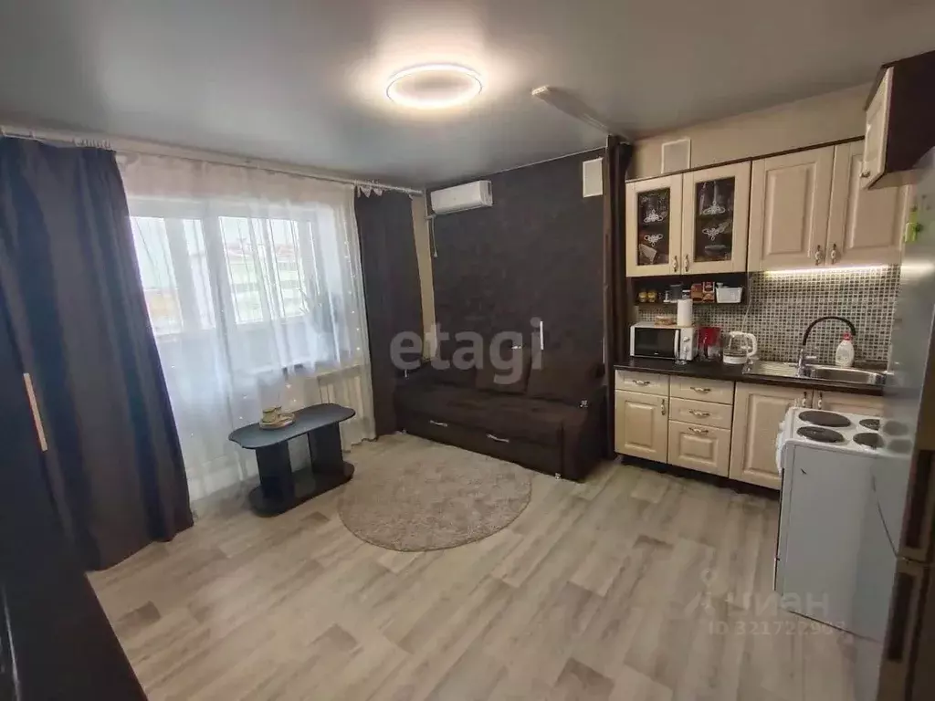 Студия Амурская область, Благовещенский район, с. Чигири ул. Красная, ... - Фото 1