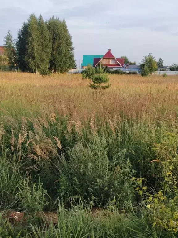 Участок в Татарстан, Тукаевский район, Поселок Круглое Поле  (10.0 ... - Фото 2
