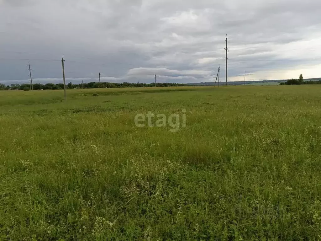 Участок в Тульская область, Киреевский район, Бородинское ... - Фото 0