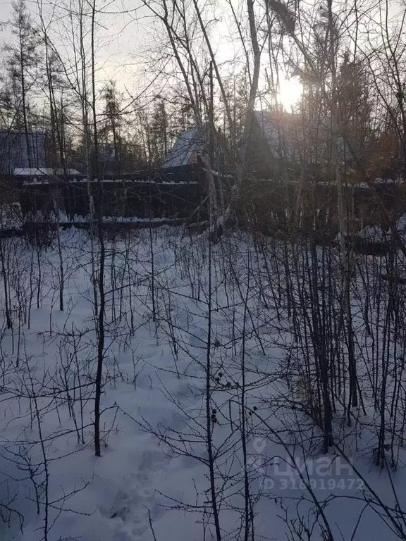 Участок в Саха (Якутия), Якутск городской округ, с. Маган  (8.0 сот.) - Фото 1
