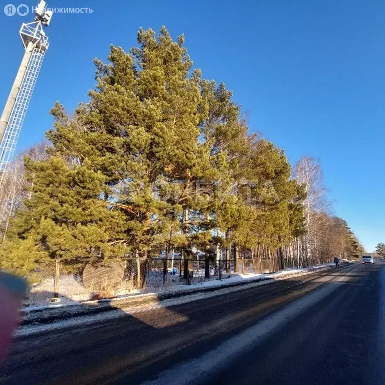 Участок в Тюмень, Ялуторовский тракт, 11-й километр (10 м) - Фото 1