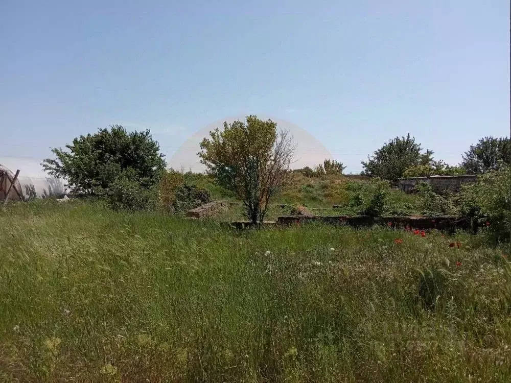 Участок в Крым, Сакский район, с. Митяево ул. Южная (10.0 сот.) - Фото 1