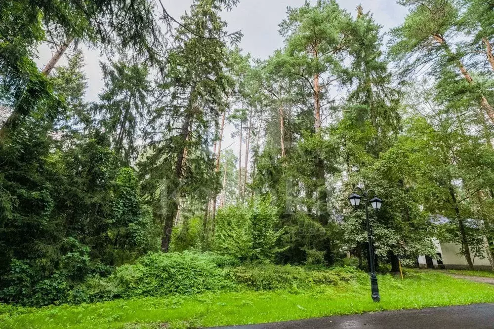 Участок в Московская область, Одинцовский городской округ, пос. ... - Фото 2