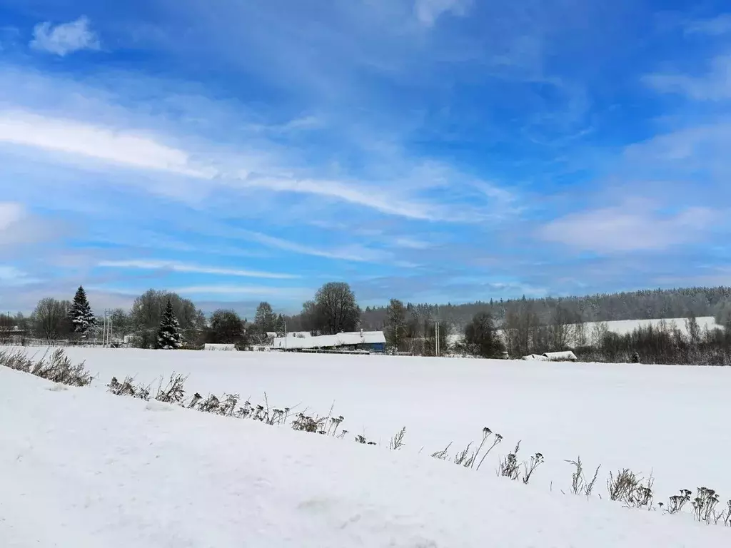 Участок в Московская область, Дмитровский муниципальный округ, ... - Фото 0