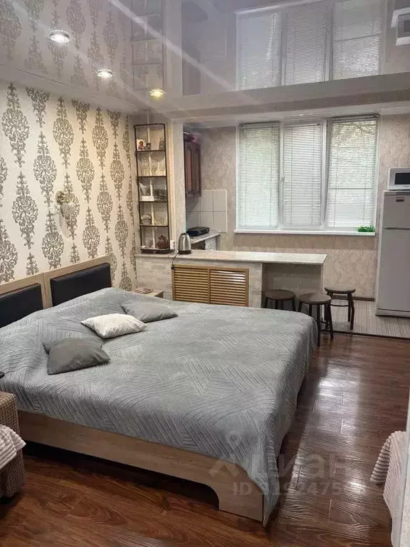 Студия Ставропольский край, Железноводск ул. Ленина, 8 (22.0 м) - Фото 1