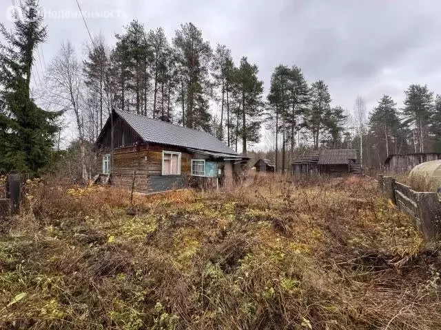 Дом в посёлок Гирвас, улица Петрова (59.1 м) - Фото 2