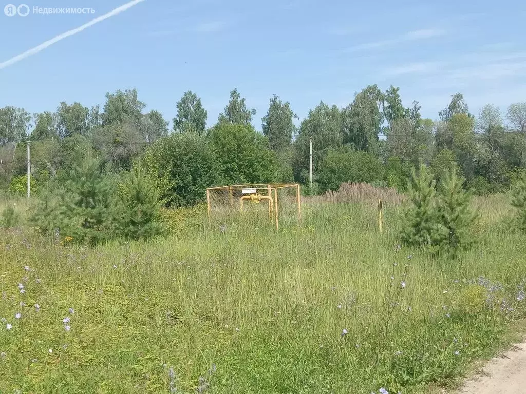 Участок в Сенгилеевский район, Тушнинское сельское поселение, село ... - Фото 2