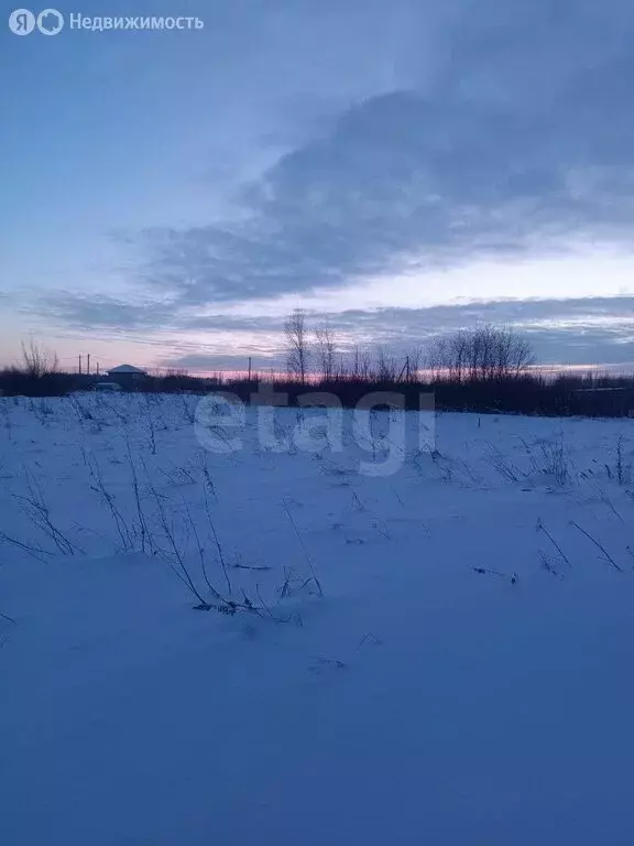 Участок в Омский район, посёлок Магистральный (12.66 м) - Фото 2