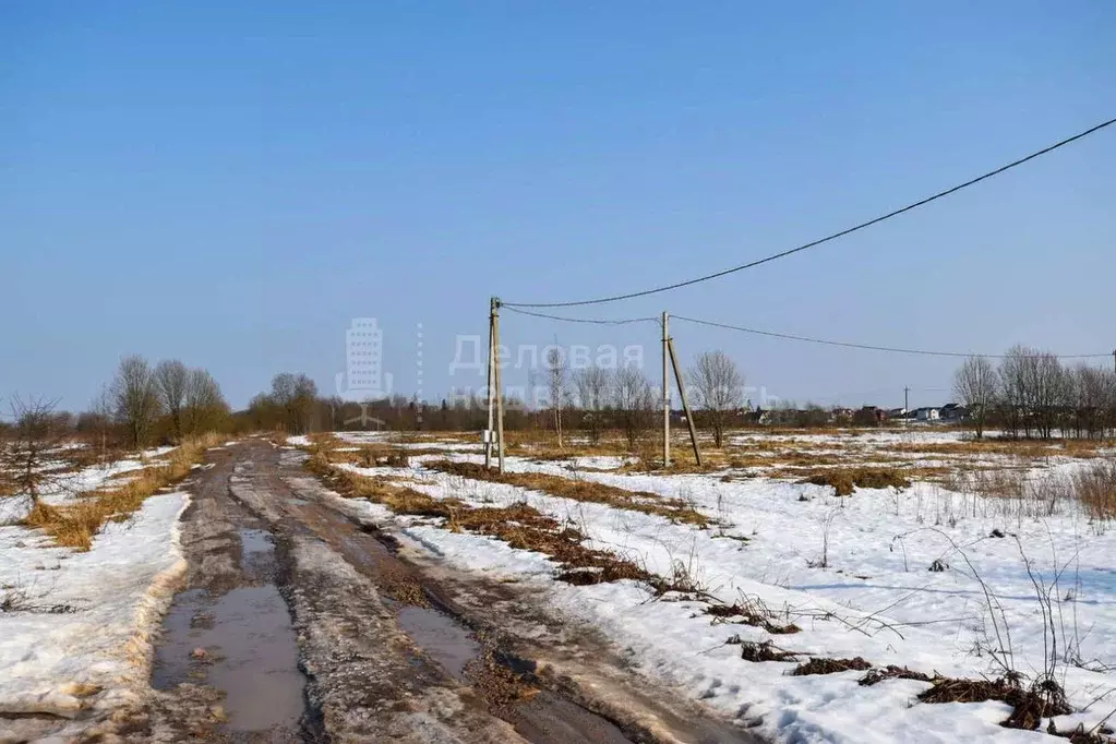 Участок в Новгородская область, Новгородский район, Савинское с/пос, ... - Фото 1