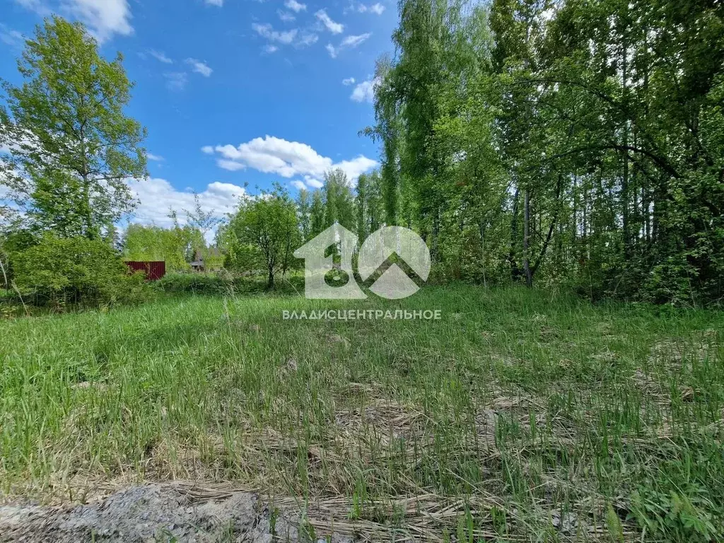 Участок в Новосибирская область, Новосибирский район, Барышевский ... - Фото 1