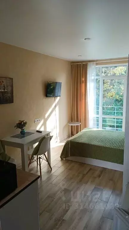 Студия Краснодарский край, Сочи Сухумское ш., 29Б (22.0 м) - Фото 1