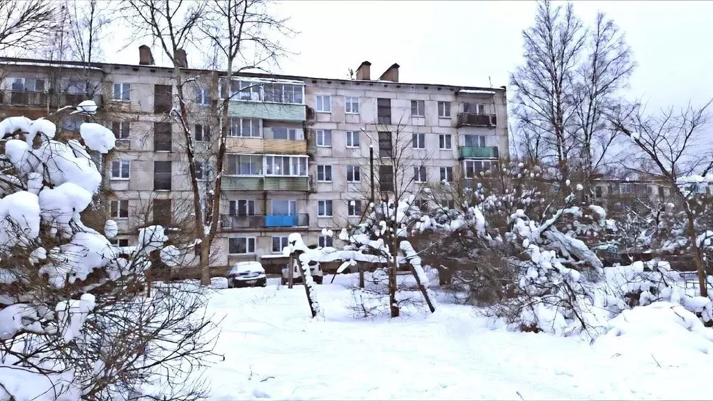 1-к кв. Новгородская область, Малая Вишера Пушкинская ул., 42А (30.2 ... - Фото 1