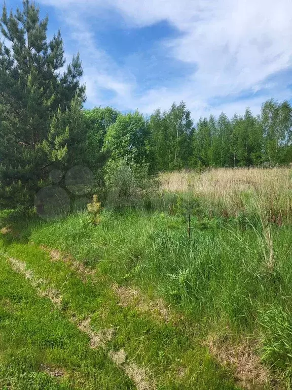 Участок 9,8 сот. (СНТ, ДНП) - Фото 0