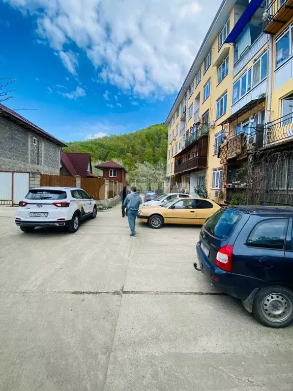 Помещение свободного назначения в Краснодарский край, Сочи городской ... - Фото 1