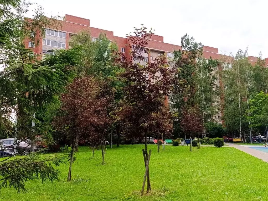 2-к кв. Санкт-Петербург Долгоозерная ул., 1 (49.4 м) - Фото 1