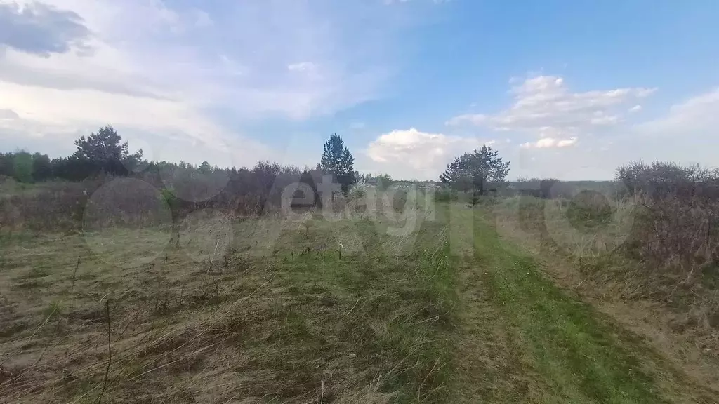 Участок 9,9 сот. (СНТ, ДНП) - Фото 1