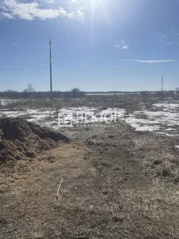 Участок в Ярославская область, Ростовский муниципальный округ, д. ... - Фото 1