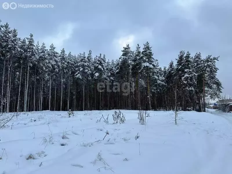 Участок в Нижний Новгород, улица Александра Невского (6.9 м) - Фото 0