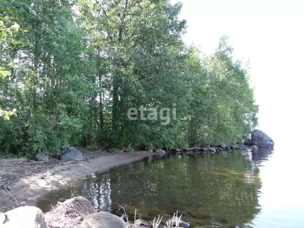 Участок в Ленинградская область, Приозерский район, Плодовское с/пос, ... - Фото 0