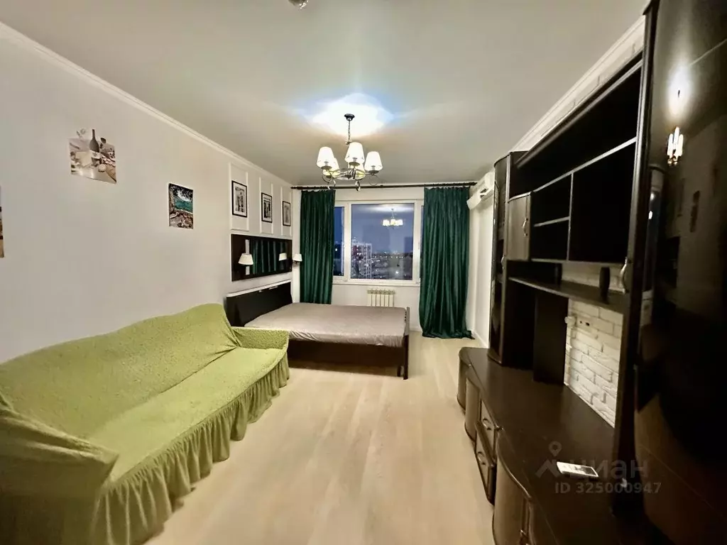 1-к кв. Краснодарский край, Сочи ул. Гастелло, 27 (45.0 м) - Фото 2