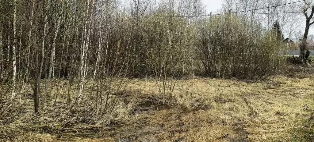 Участок в Московская область, Коломна городской округ, с. Чанки  (9.56 ... - Фото 1