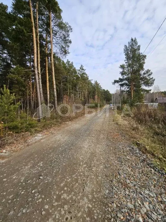 Участок в Тюменская область, Тюменский муниципальный округ, с. Княжево ... - Фото 1