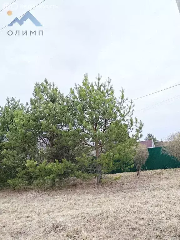 Участок в Вологодский муниципальный округ, деревня Меники (29.95 м) - Фото 0