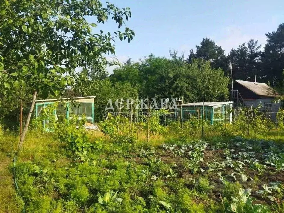 Дом в Белгородская область, Старый Оскол Трикотажник СНТ,  (36 м) - Фото 1