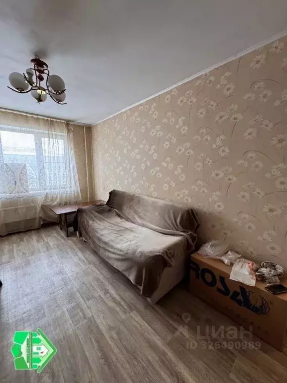 1-к кв. Ярославская область, Ростов 1-й мкр, 4А (30.2 м) - Фото 2