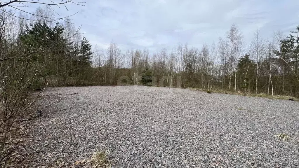 Участок в Ленинградская область, Киришский район, Будогощское ... - Фото 0