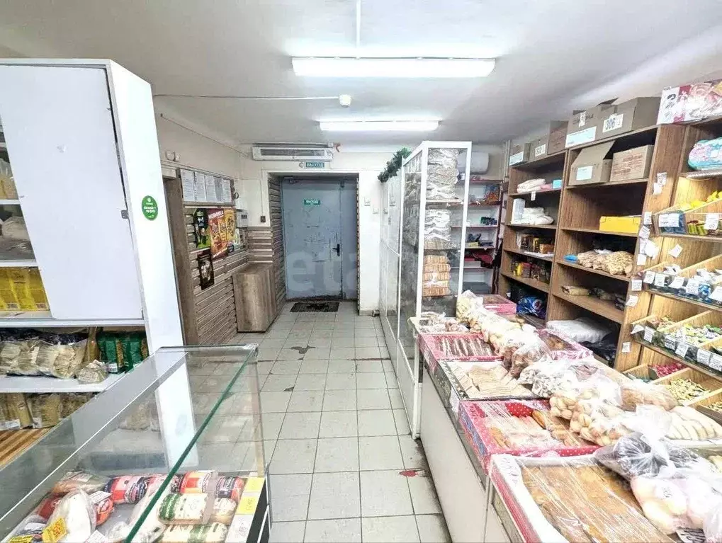 Помещение свободного назначения в Удмуртия, Ижевск ул. Орджоникидзе, ... - Фото 2