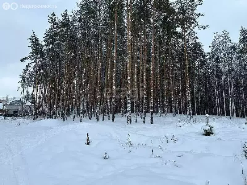 Участок в Нижний Новгород, улица Александра Невского (6.9 м) - Фото 1