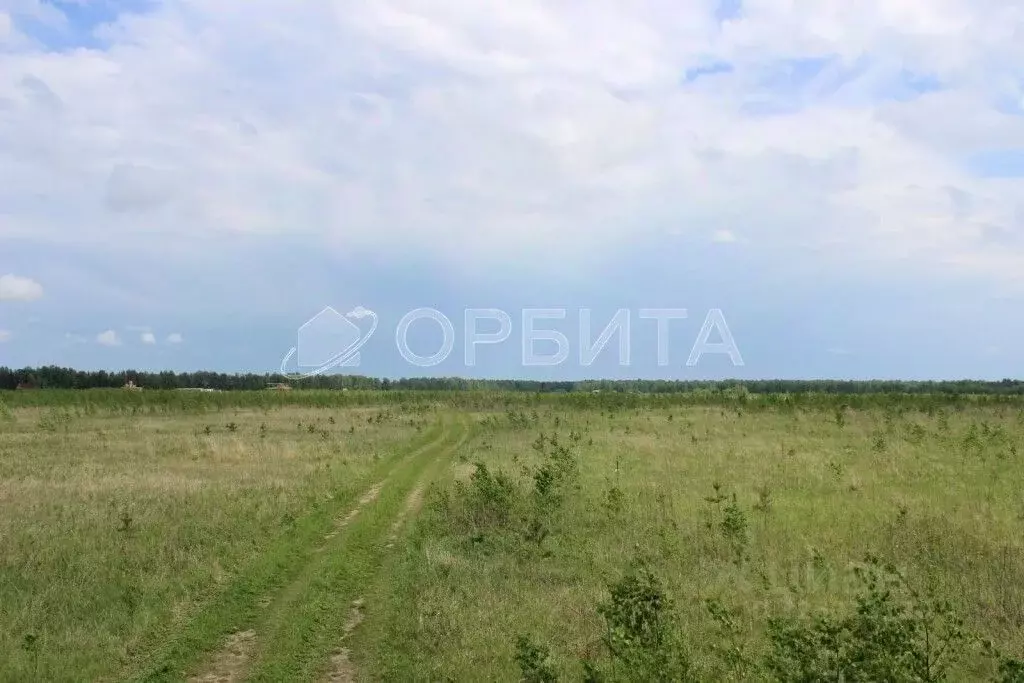 Участок в Свердловская область, Слободо-Туринский район, ... - Фото 1