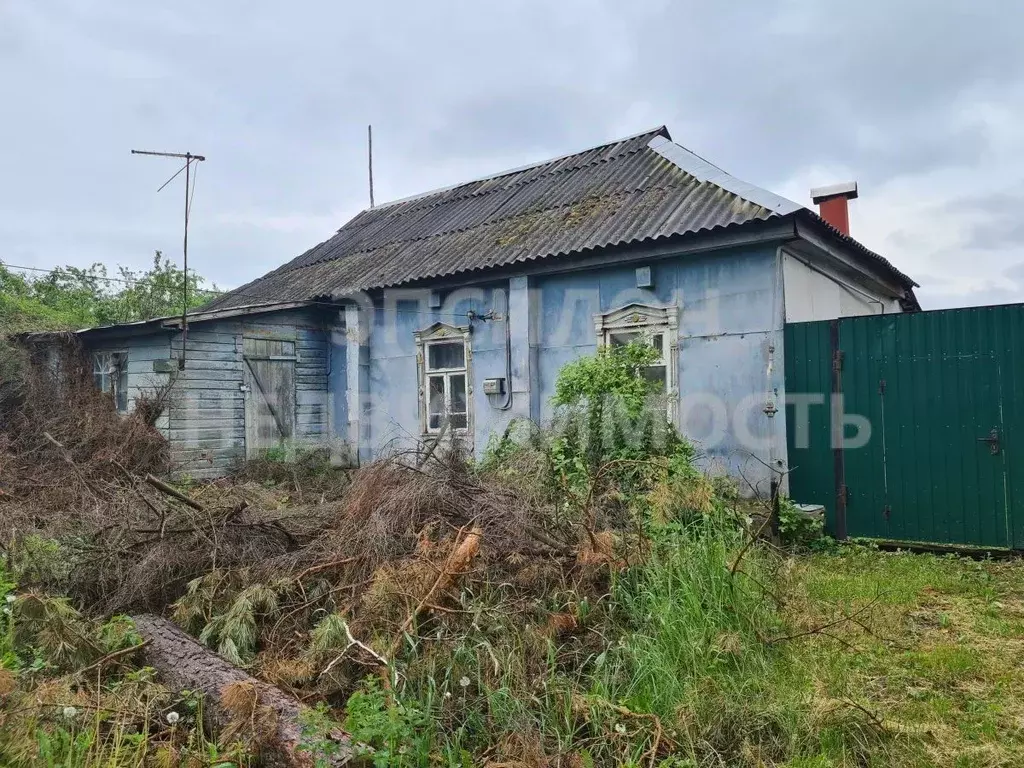 Дом в Курская область, Октябрьский район, Прямицыно муниципальное ... - Фото 1