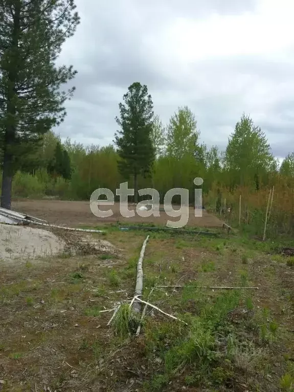 Участок в Ханты-Мансийский АО, Сургутский район, Барсово городское ... - Фото 1