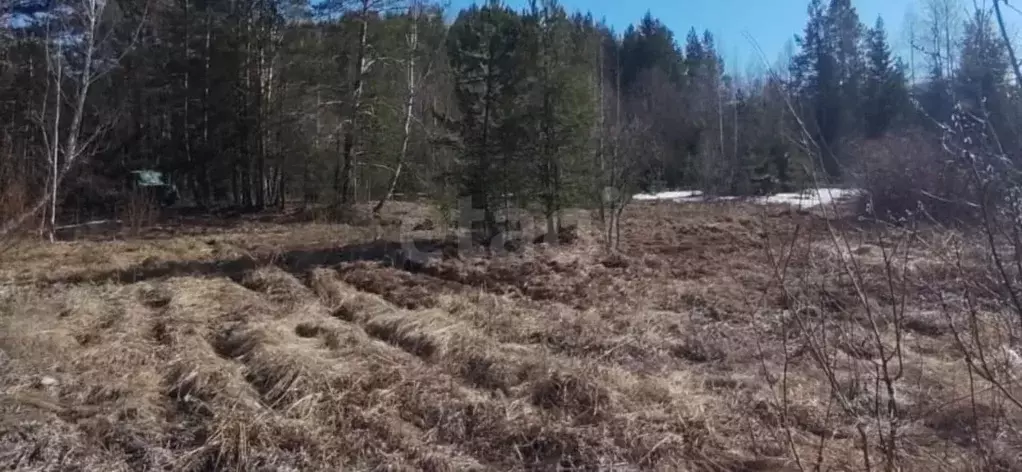 Участок в Свердловская область, Нижний Тагил Весенняя ул. (12.04 сот.) - Фото 1