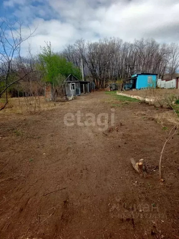 Участок в Амурская область, Благовещенск ЖБИ-12 СТ,  (7.5 сот.) - Фото 1