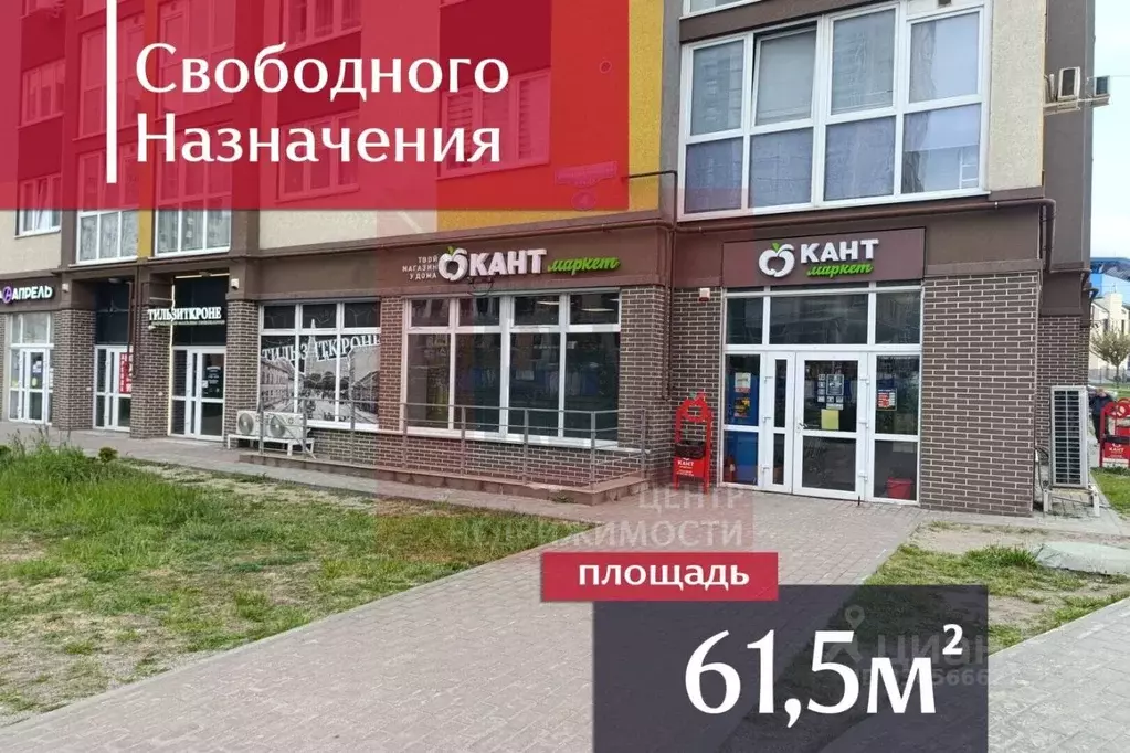 Помещение свободного назначения в Калининградская область, Калининград ... - Фото 1