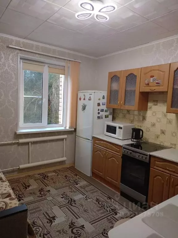 1-к кв. Волгоградская область, Волгоград ул. Сологубова, 56 (35.0 м) - Фото 1