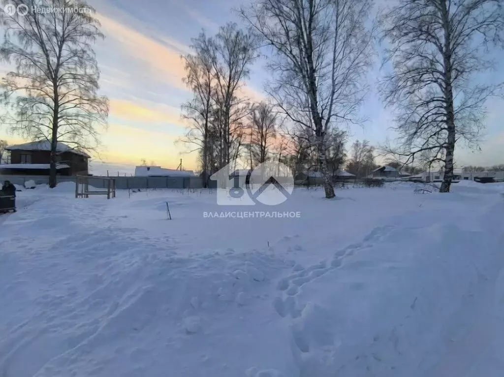 Участок в Новосибирский район, Морской сельсовет, село Ленинское (6.74 ... - Фото 1