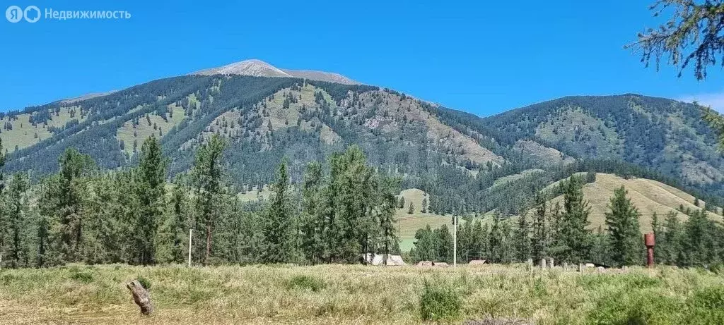 Участок в Усть-Коксинский район, посёлок Тюгурюк (10 м) - Фото 2