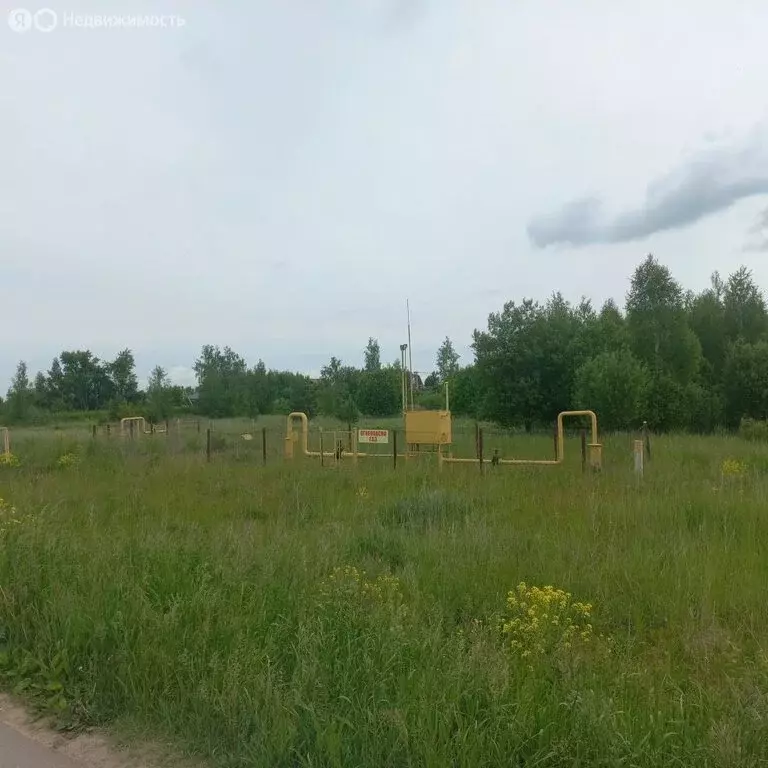 Участок в деревня Инютино, Васильковая улица, 16 (15 м) - Фото 1